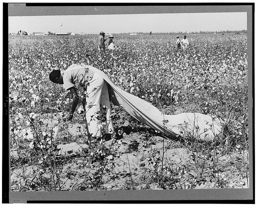 Daylaborer, cotton picker, Lake Dick Project, Arkansas