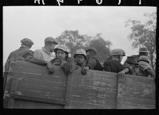 Cotton pickers in truck, Pine Bluff, Arkansas