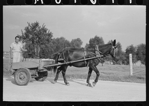 Member of Lake Dick Cooperative Association, Arkansas