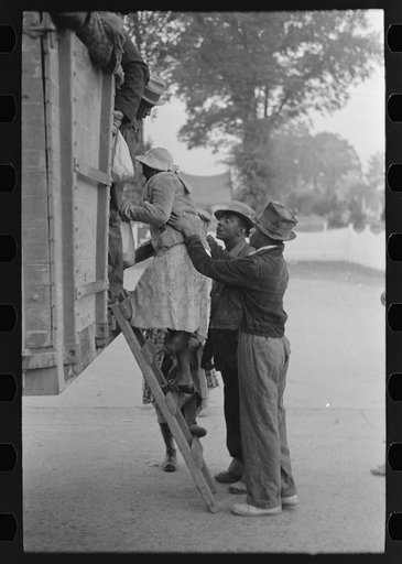Helping women cotton pickers board truck, Pine Bluff, Arkansas