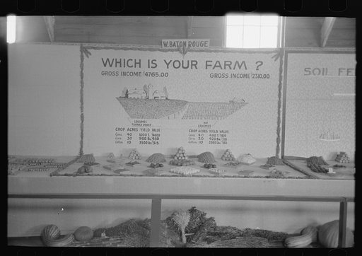 Untitled photo, possibly related to: Display in Agricultural Hall, state fair, Donaldsonville, Louisiana
