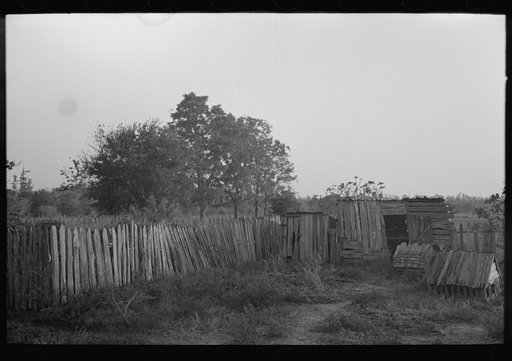 Untitled photo, possibly related to: Primitive guard for tree protected from rabbits at farmhome of aged Cajun couple, near Crowley, Louisiana
