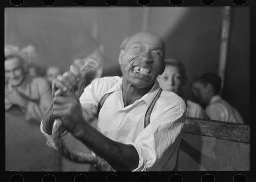Man chewing piece of snake which he has just bitten off, state fair sideshow, Donaldsonville, Louisiana