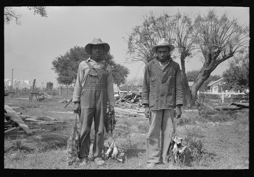 Negro laborers employed by Joseph La Blanc, wealthy Cajun farmer, Crowley, Louisiana, with possum and birds they shot