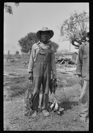 Untitled photo, possibly related to: Negro laborers employed by Joseph La Blanc, wealthy Cajun farmer, Crowley, Louisiana, with possum and birds they shot