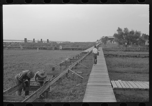 Constructing new elevated board walks, Pilottown, Louisiana. Variation of water level caused by tides and swampy conditions made these walks necessary