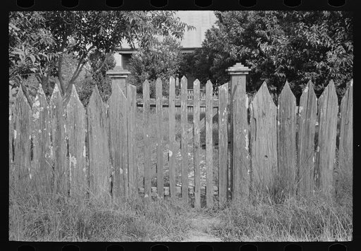 Gate and fence, Paulina, Louisiana