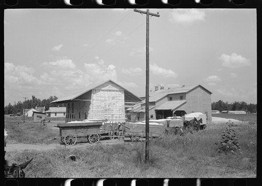 Cotton gin near Lehi, Arkansas