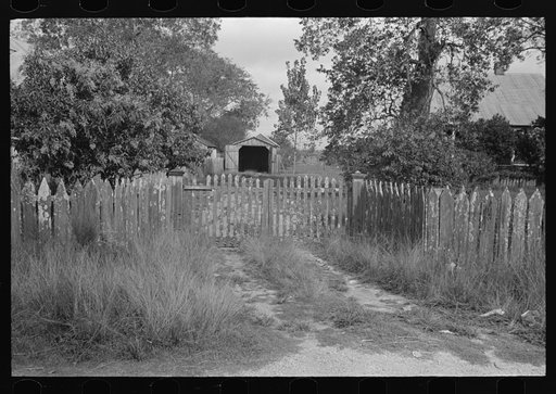 Driveway, Paulina, Louisiana