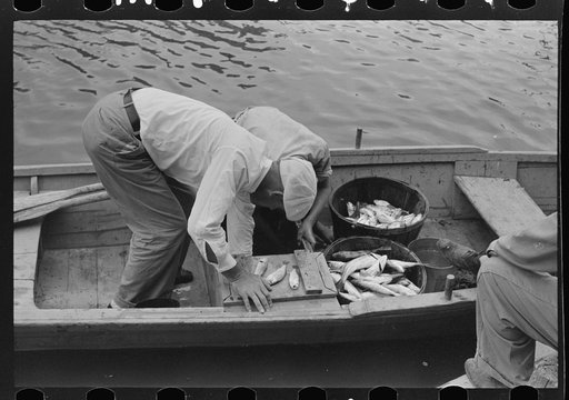 Untitled photo, possibly related to: Unloading oysters from fisherman's boat, Olga, Louisiana