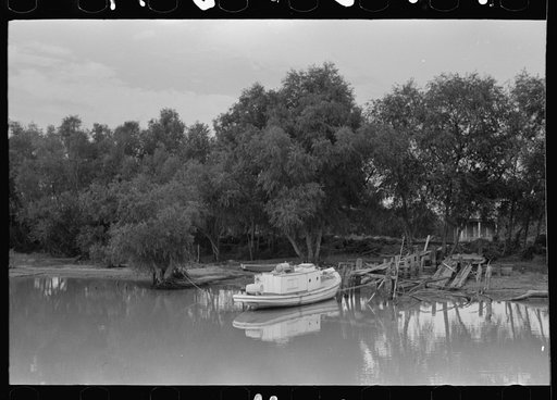 Untitled photo, possibly related to: Unloading oysters from fisherman's boat, Olga, Louisiana
