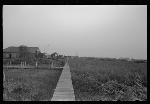 Untitled photo, possibly related to: Bar pilot's house, Pilottown, Louisiana