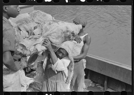 Untitled photo, possibly related to: Negro stevedore with sack of oysters on back, Olga, Louisiana