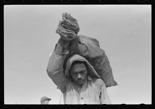 Negro stevedore with sack of oysters on back, Olga, Louisiana
