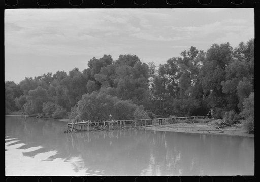 Untitled photo, possibly related to: Unloading oysters from fisherman's boat, Olga, Louisiana