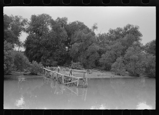 Untitled photo, possibly related to: Unloading oysters from fisherman's boat, Olga, Louisiana