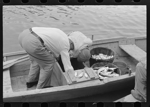Untitled photo, possibly related to: Unloading oysters from small boats, Olga, Louisiana