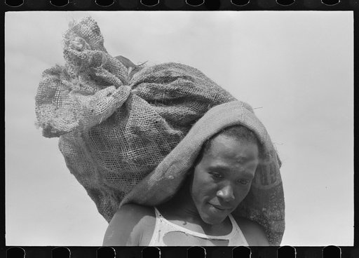 Negro stevedore with sack of oysters, Olga, Louisiana