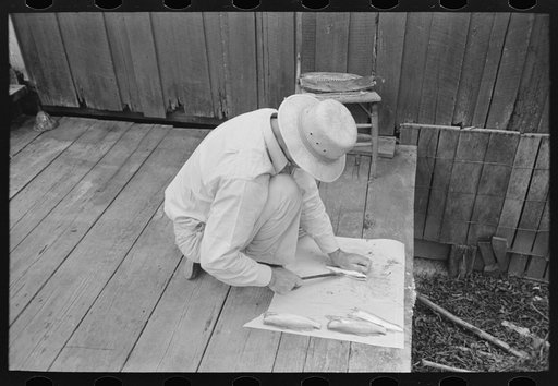 Man cleaning fish, Olga, Louisiana