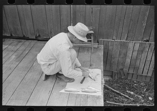 Untitled photo, possibly related to: Man cleaning fish, Olga, Louisiana