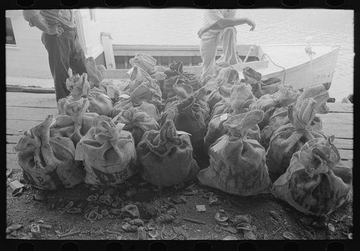 Sacks of oysters, Olga, Louisiana