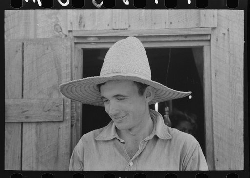 Untitled photo, possibly related to: Sugarcane farmer, Louisiana