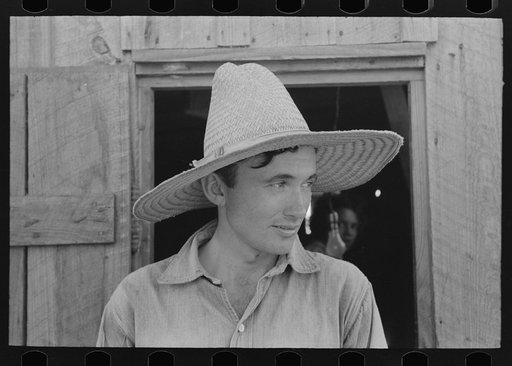 Sugarcane farmer, Louisiana