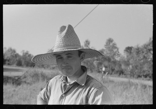 Untitled photo, possibly related to: Sugarcane farmer, Louisiana