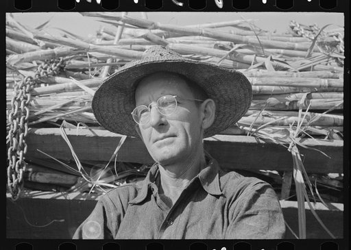 Sugarcane farmer near Delcambre, Louisiana