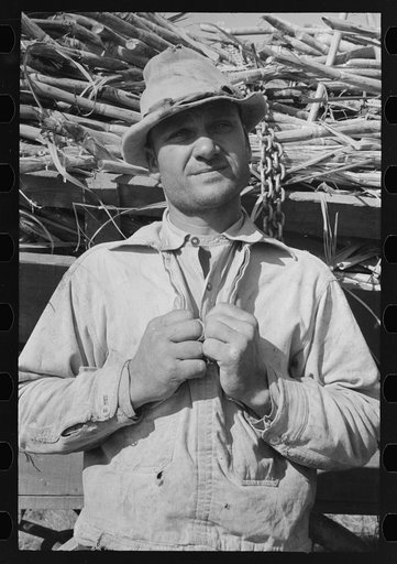 Sugarcane farmer near Delcambre, Louisiana