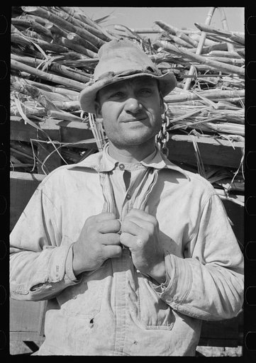 Untitled photo, possibly related to: Sugarcane farmer near Delcambre, Louisiana