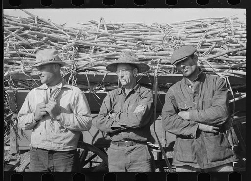 Sugarcane farmers, Louisiana