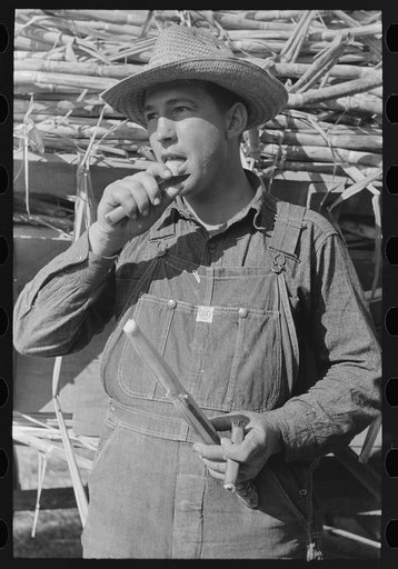 Sugarcane worker, Louisiana