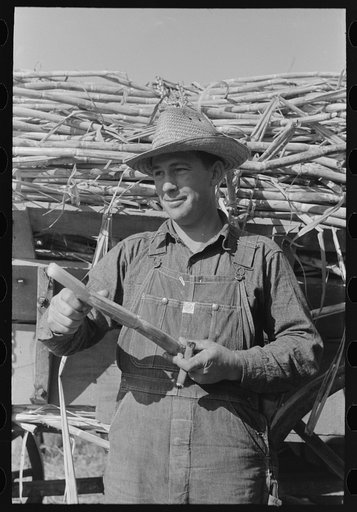 Untitled photo, possibly related to: Sugarcane worker, Louisiana