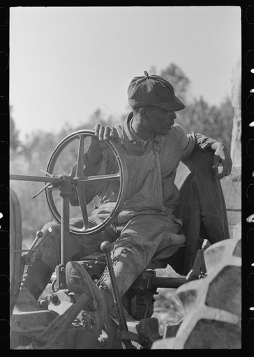 Untitled photo, possibly related to: Loading sugar cane onto truck by means of large scissors grab, in sugarcane field near New Iberia, Louisiana