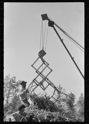 Loading sugar cane onto truck by means of large scissors grab, in sugarcane field near New Iberia, Louisiana