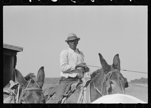Untitled photo, possibly related to: Part of machine developed by Negro for loading sugarcane onto trucks near New Iberia, Louisiana