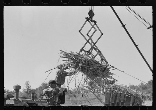 Untitled photo, possibly related to: Part of machine developed by Negro for loading sugarcane onto trucks near New Iberia, Louisiana