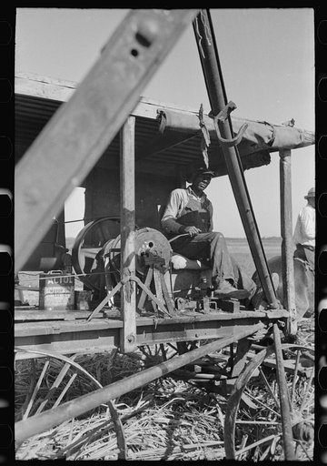 Untitled photo, possibly related to: Loading sugarcane, Louisiana