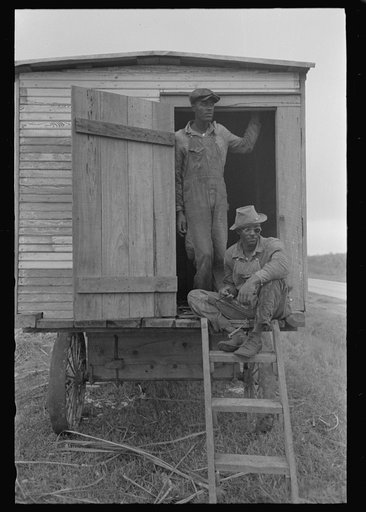 Negro sitting in wagon which is moved in the fields to be used for protection from rain, sugarcane fields, New Iberia, Louisiana