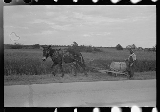 Mule-drawn wagon with water supply near Jeanerette, Louisiana