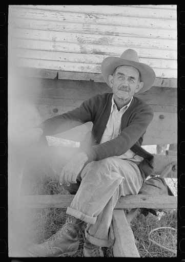 Untitled photo, possibly related to: Foreman of sugarcane plantation near New Iberia, Louisiana