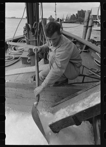 Ice being loaded into shrimp boat, Morgan City, Louisiana