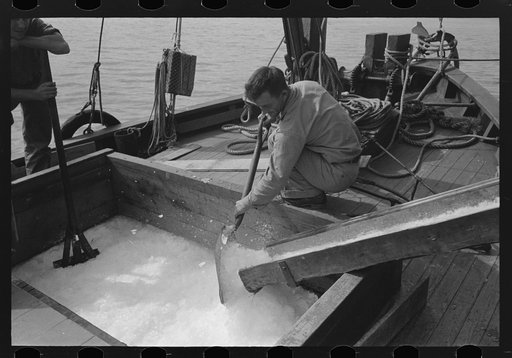 Loading shaved ice into shrimp boat, Morgan City, Louisiana