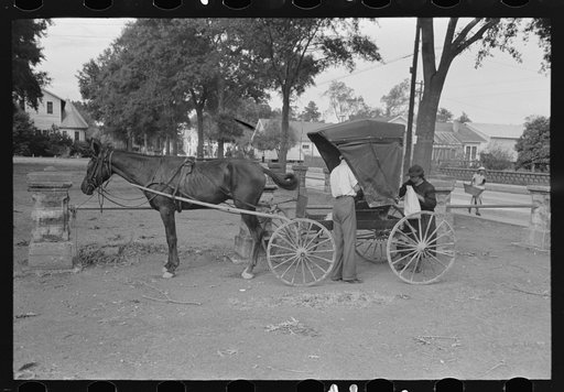 Untitled photo, possibly related to: Loading groceries into buggy, Lafayette, Louisiana