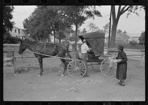 Loading groceries into buggy, Lafayette, Louisiana