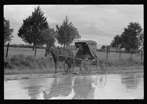 Untitled photo, possibly related to: Buggy stopped on highway near Lafayette, Louisiana