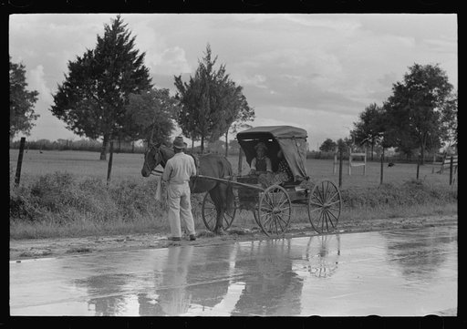 Buggy stopped on highway near Lafayette, Louisiana