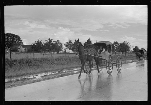Untitled photo, possibly related to: Buggy stopped on highway near Lafayette, Louisiana