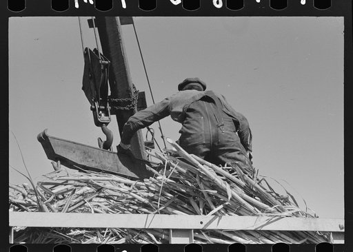 Untitled photo, possibly related to: Manipulating scissors crane used for loading sugarcane in field near New Iberia, Louisiana